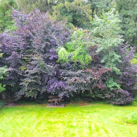 Calme Et Verdure 9 Lägenhet *