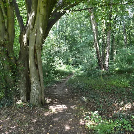 Calme Et Verdure 9 Appartement *