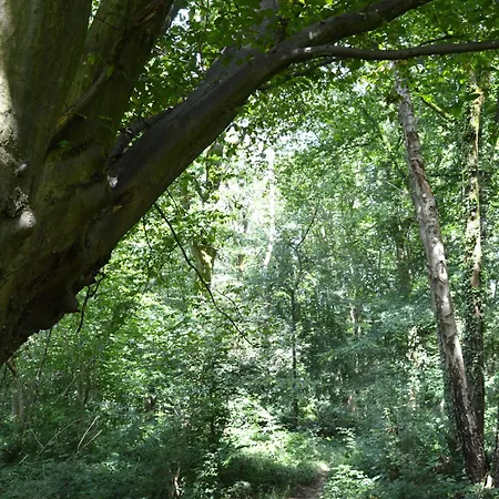 Calme Et Verdure 9 Kelmis