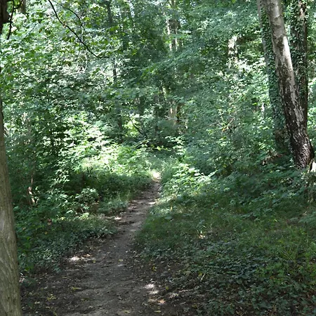 Calme Et Verdure 9 * Kelmis