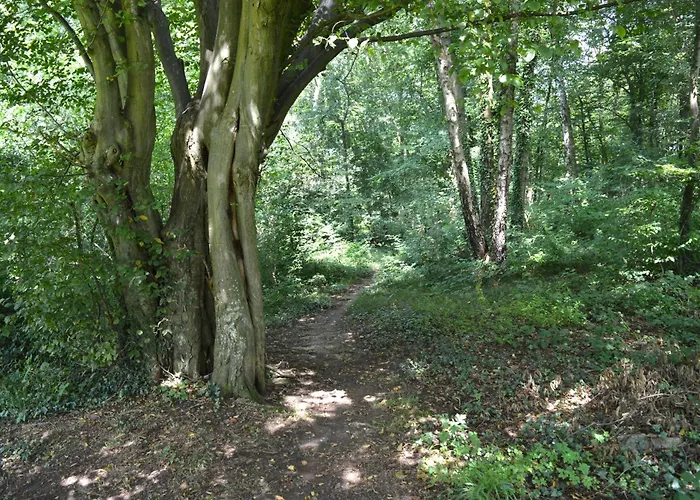 Beau Petit Appartement *